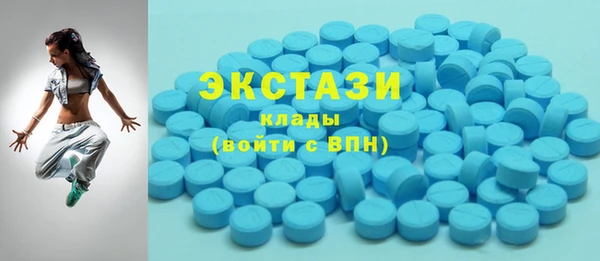 индика Надым