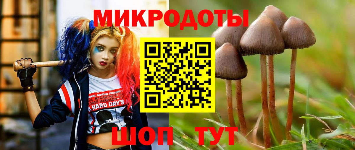 Псилоцибиновые грибы GOLDEN TEACHER  наркотики  Карачаевск  Галлюциногенные грибы прущие грибы  Вход с VPN 