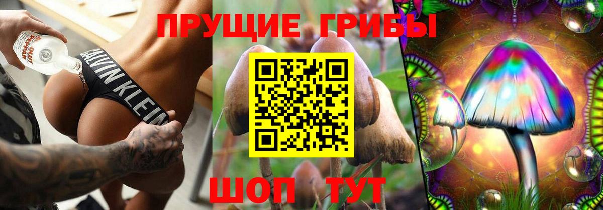 Галлюциногенные грибы прущие грибы Карачаевск