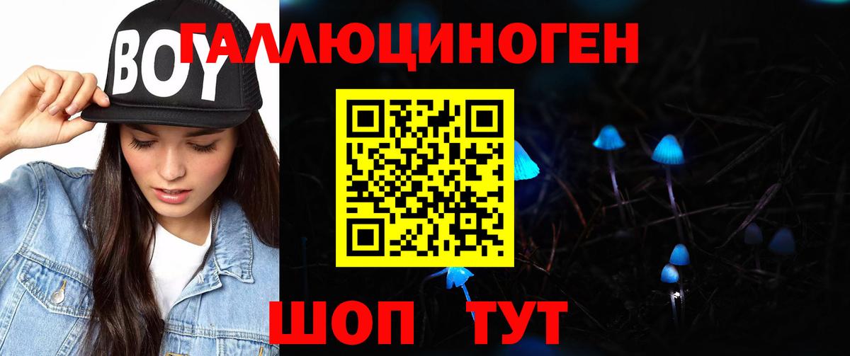 Галлюциногенные грибы прущие грибы Карачаевск